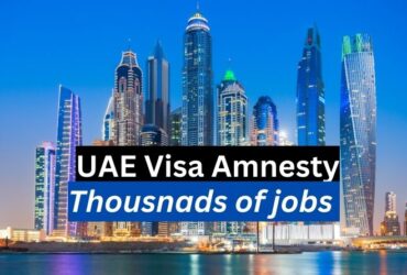 UAE Amnesty