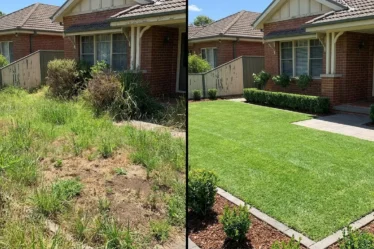 Landscaping Mistakes